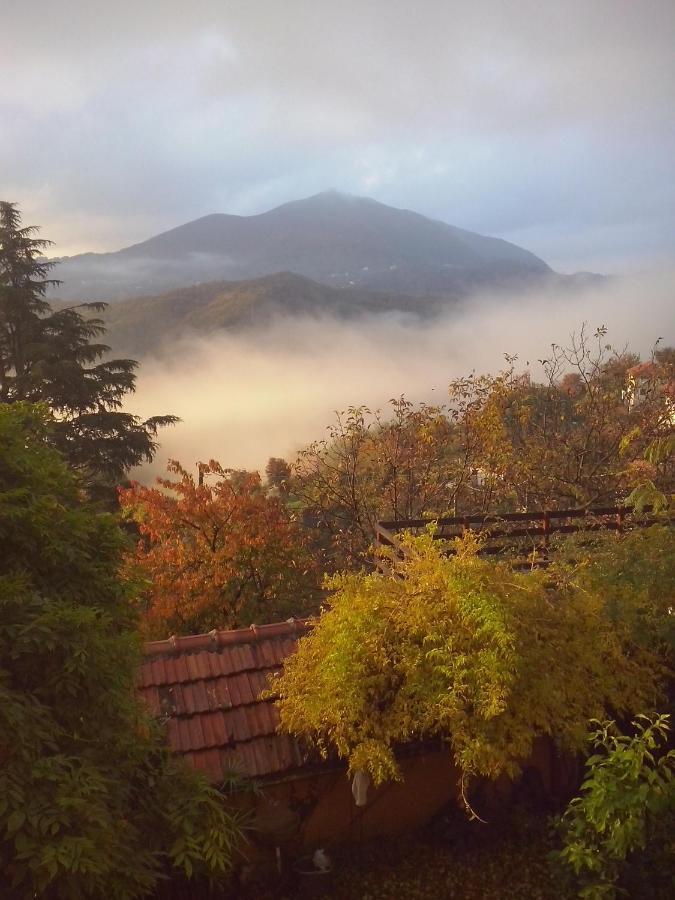 B&B Terre E Colori Sant'Olcese Екстер'єр фото